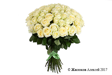 ����� 51 ���� ������� 50/60 ��