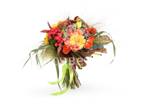 ����� �������� ���������