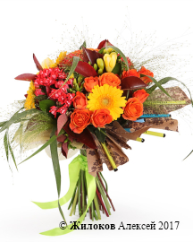 ����� �������� ���������