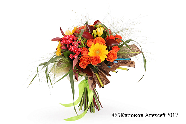 ����� �������� ���������