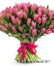 Букет 101 тюльпан, розовые