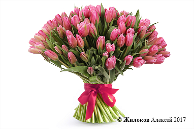 ����� 101 �������, �������