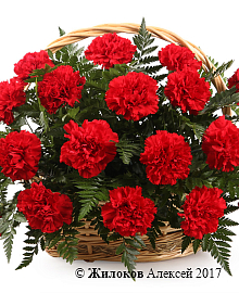 ����� � ���������� ��������� � �������