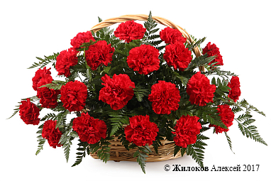 ����� � ���������� ��������� � �������