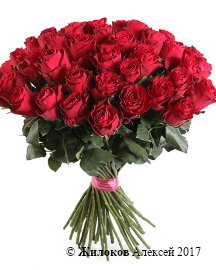 ����� 51 ���� �����