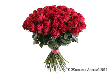 ����� 51 ���� �����