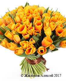 ����� 101 ����������� �������, �����