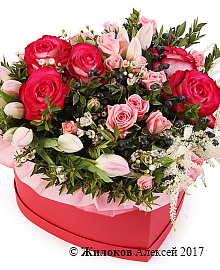 ����� ������ ����� � ������� ������� ������