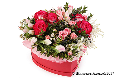 ����� ������ ����� � ������� ������� ������