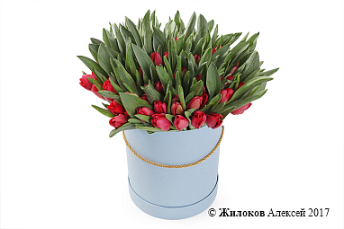 ����� �������� ���� � ������� �������