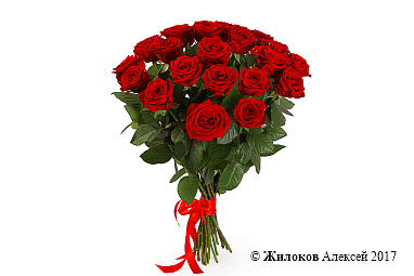 ����� 21 ������� ���� 60/70 ��