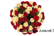 Букет 51 роза микс