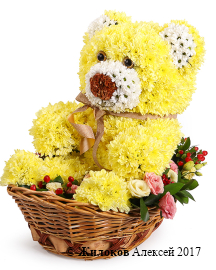 ���������� ������� �����