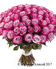 ����� 101 ���� ��� �����