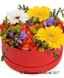 ����� ������������� �������� � ������� �������