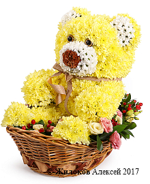 ���������� ������� �����