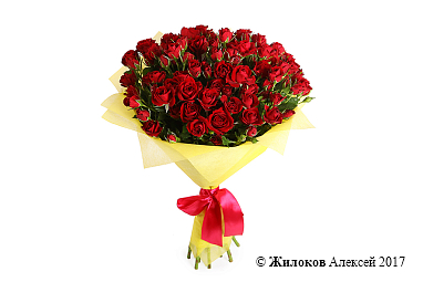 ����� 15 �������� ��� ��������