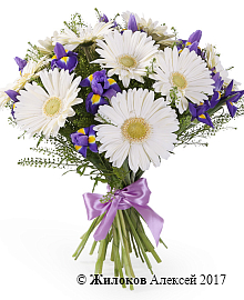 ����� � ��������� �� �������� ����