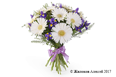 ����� � ��������� �� �������� ����