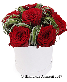 ����� 7 ��� � ������� ������� (� �������)