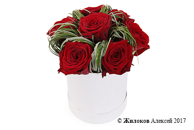 ����� 7 ��� � ������� ������� (� �������)