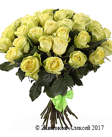 ����� 35 ��� �����