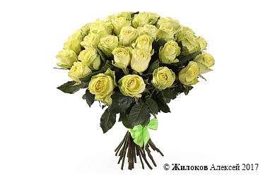 ����� 35 ��� �����