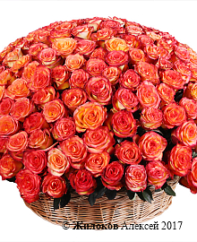 ����� 301 ���� ��� ������ � �������