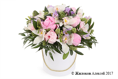 ����� ���������� ����� � ������� �������