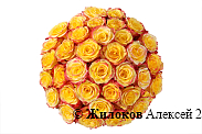 Букет 35 роз Хай Еллоу в шляпной коробке
