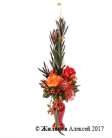 ����� ����� � ���� � ����