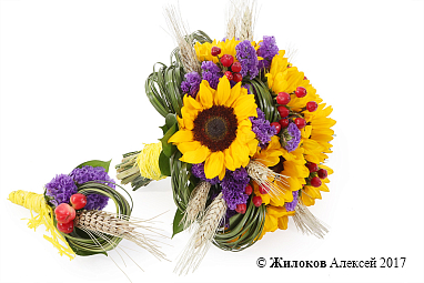 ����� ������� � ������������ ������