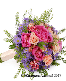 ����� ������� � ������� ����������