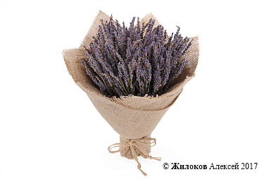 ����� �� ������� ������ �������� � ���������