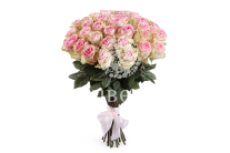 ����� 51 ���� ��������