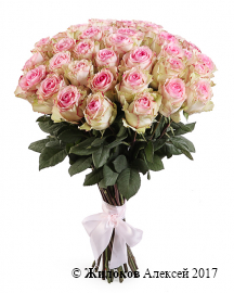 ����� 51 ���� ��������