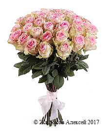 ����� 51 ���� ��������