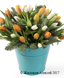 ���������� ���� ����� � �����