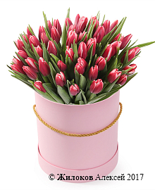 ����� 51 ����������� ������� � ������� ������� �������, ����