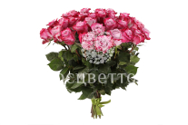 ����� 31 ���� ��� �����