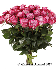 ����� 31 ���� ��� �����