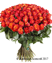 ����� 101 ���� ������