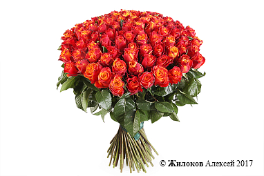 ����� 101 ���� ������