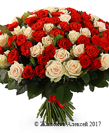 ����� 101 ���� ���� �����/��� ����