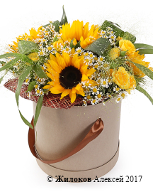 ����� � ������������ ���� � ������� � ������� �������