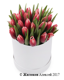 ����� 25 ����������� ��������� � ����� ������� �������, ����