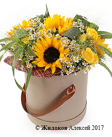 ����� � ������������ ���� � ������� � ������� �������