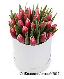 ����� 25 ����������� ��������� � ����� ������� �������, ����