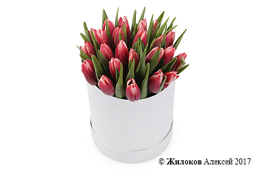 ����� 25 ����������� ��������� � ����� ������� �������, ����