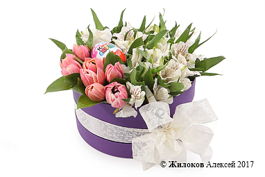 ����� �������� ������ � ������� �������